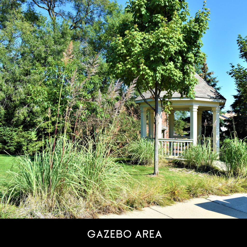 GALLERY Trillium Village